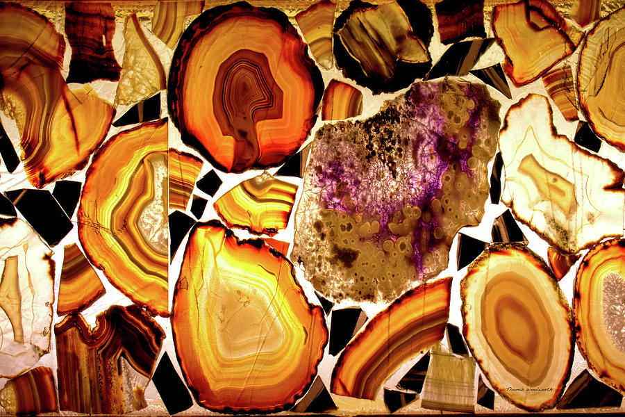 Agate Slices Moqui Cave Museum Kanab Utah 02 Photograph by Thomas Woolworth