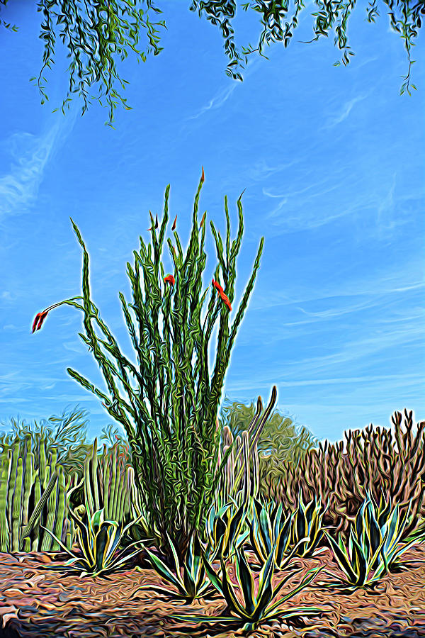 Agave and Cactus Expressionalism Photograph by Aimee L Maher ALM GALLERY