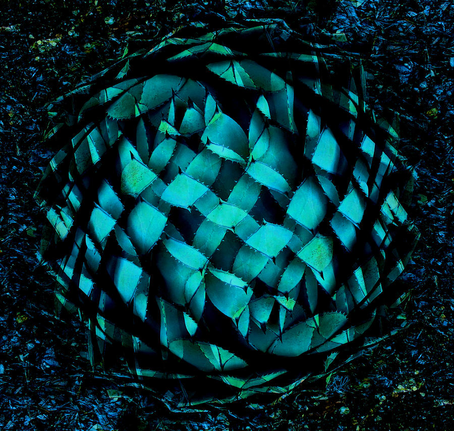 Agave Blues Abstract Photograph by Stephanie Grant