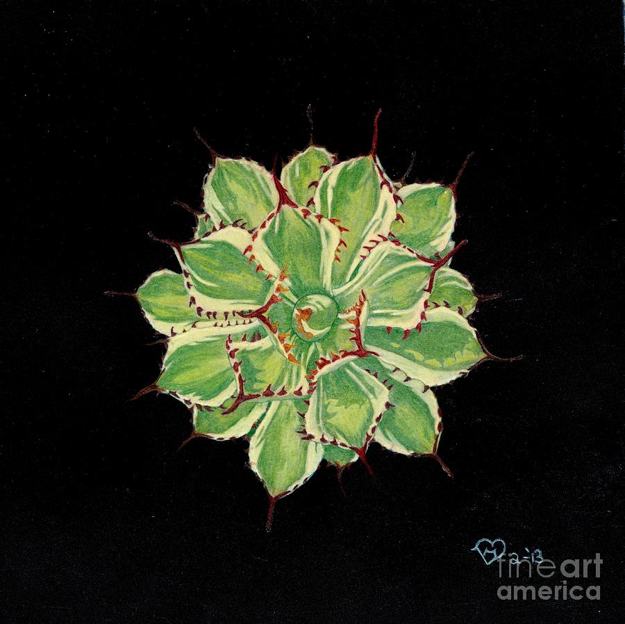 Agave I by Becky Eileen Eller Agave I by Becky Eileen Eller