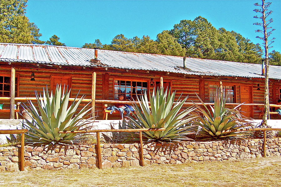 Agave in Front of Sierra Madre Hiking Lodge in Chihuahua, Mexico Photograph by Ruth Hager