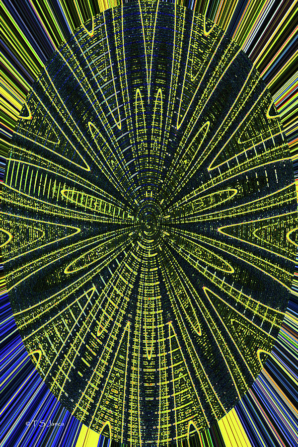 Agave Lines Abstract Digital Art by Tom Janca