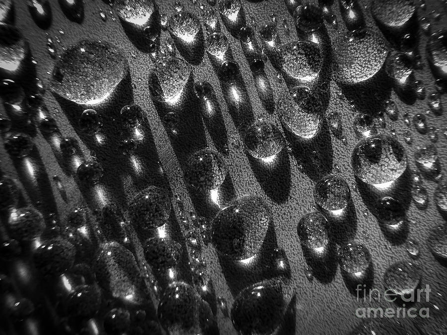 Black And White Photograph - Agave Morning Teardrops by Eric Nagel