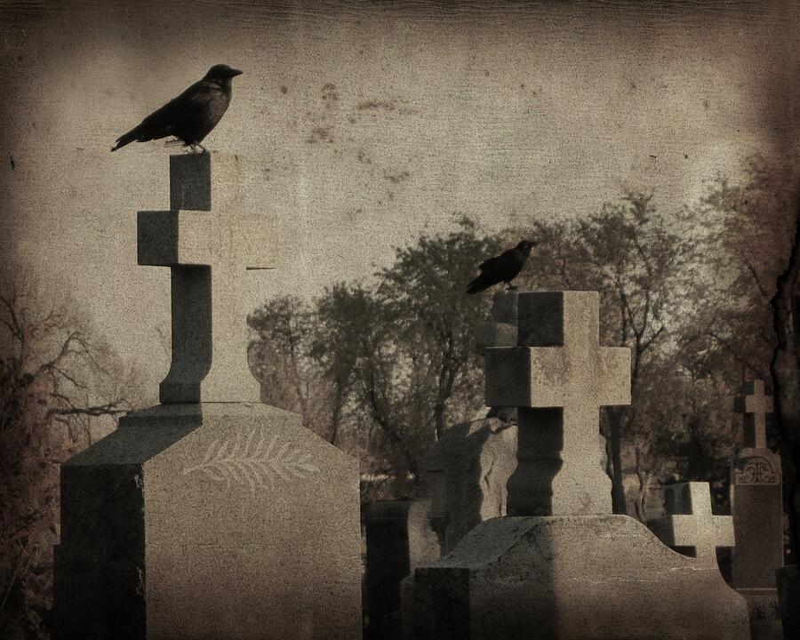 Bird Photograph - Aged Graveyard Scene by Gothicrow Images