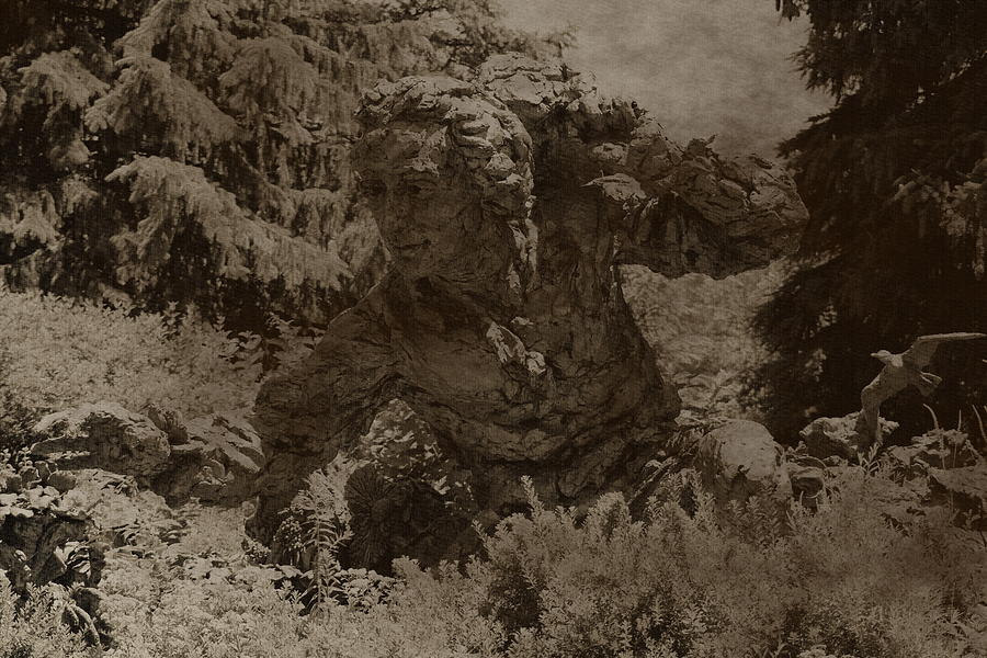 Aged Photograph of the Sculpture of Carl Linnaeus in Sepia Photograph by Colleen Cornelius