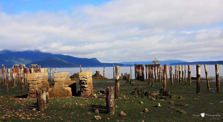 Piling Photograph - Aged Pilings by Stephanie McGuire Piling Photograph - Aged Pilings by Stephanie McGuire