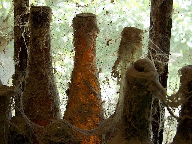 Aged Wine Photograph by Lori Leigh