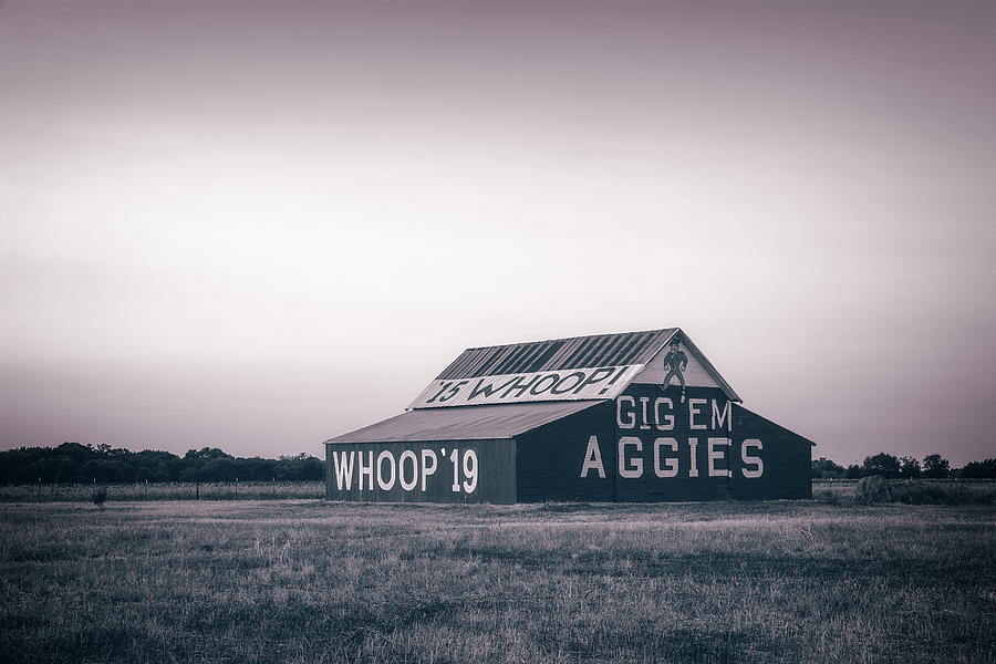 Aggie Barn Sunrise 2015 Platinum Photograph by Joan Carroll
