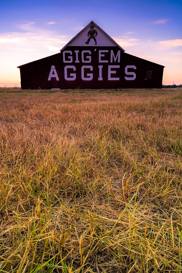 Aggie land Photograph by Jonathan Davison