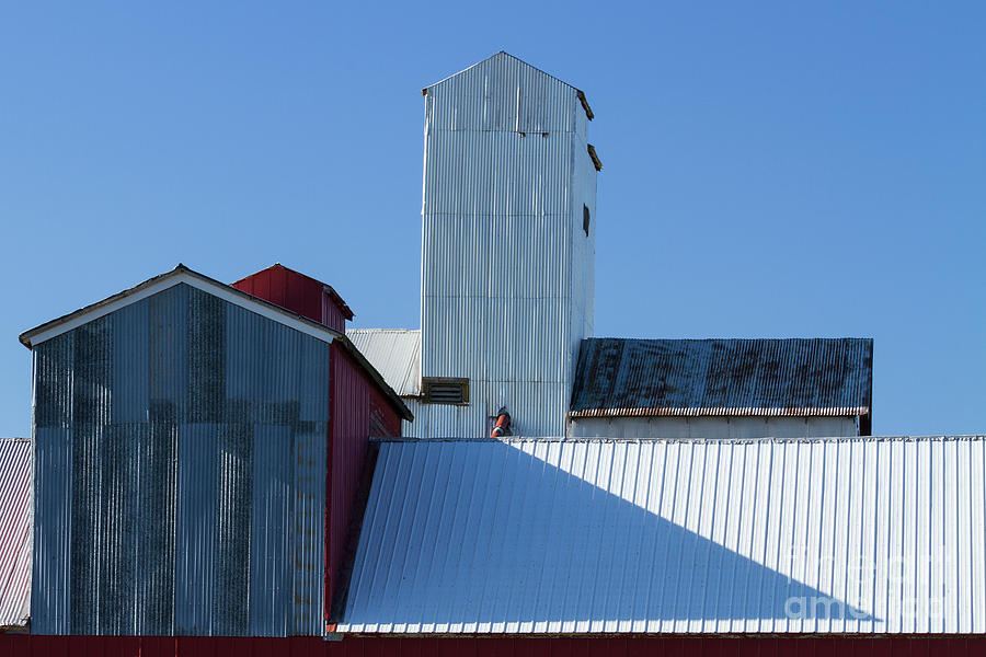 Agricultural Geometries Photograph by Brenda Tharp - Fine Art America