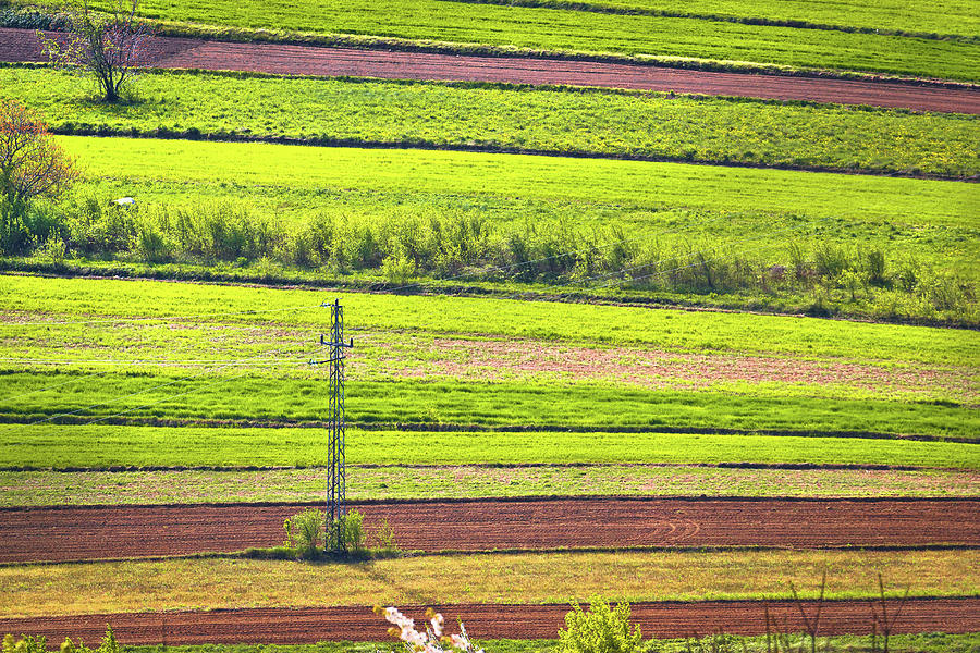 Agricultural horizontal layers green view Photograph by Brch Photography