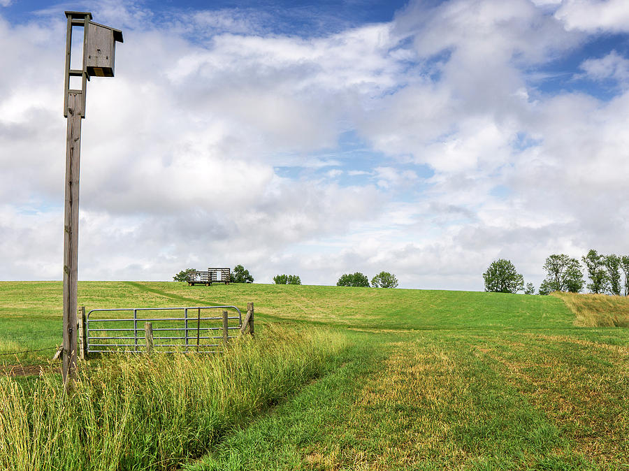 Agricultural landscape with birdhouse Photograph by Phil Cardamone