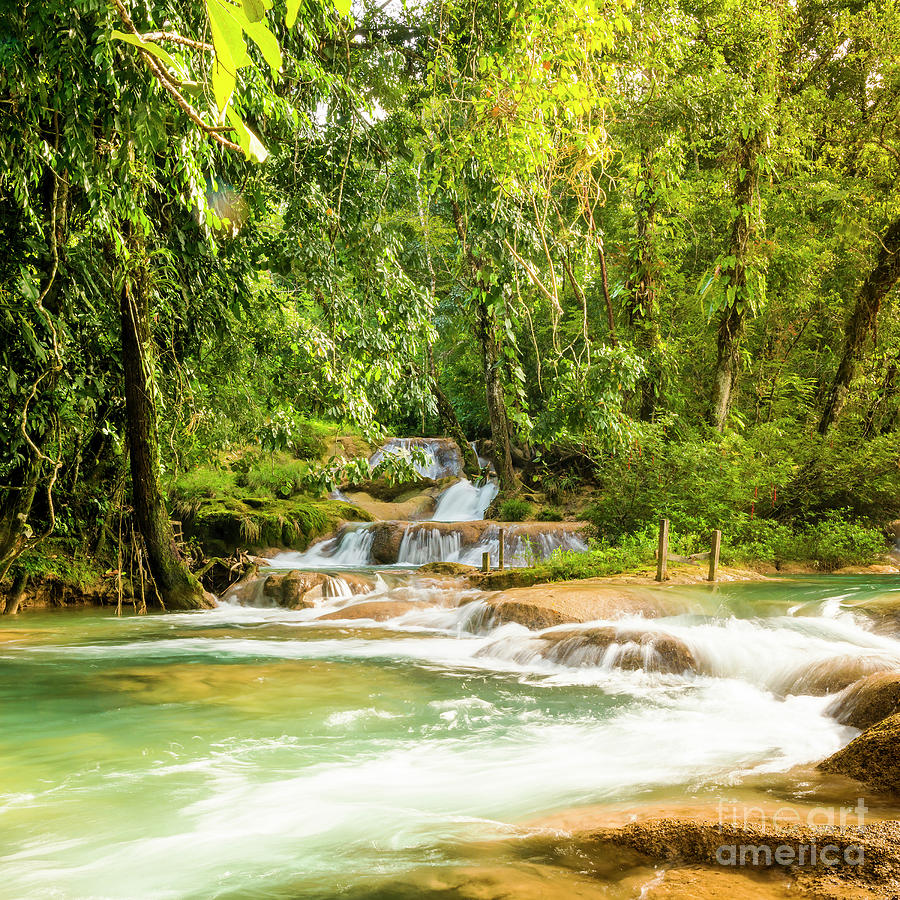 Jungle Photograph - Agua Azul Mexico by THP Creative
