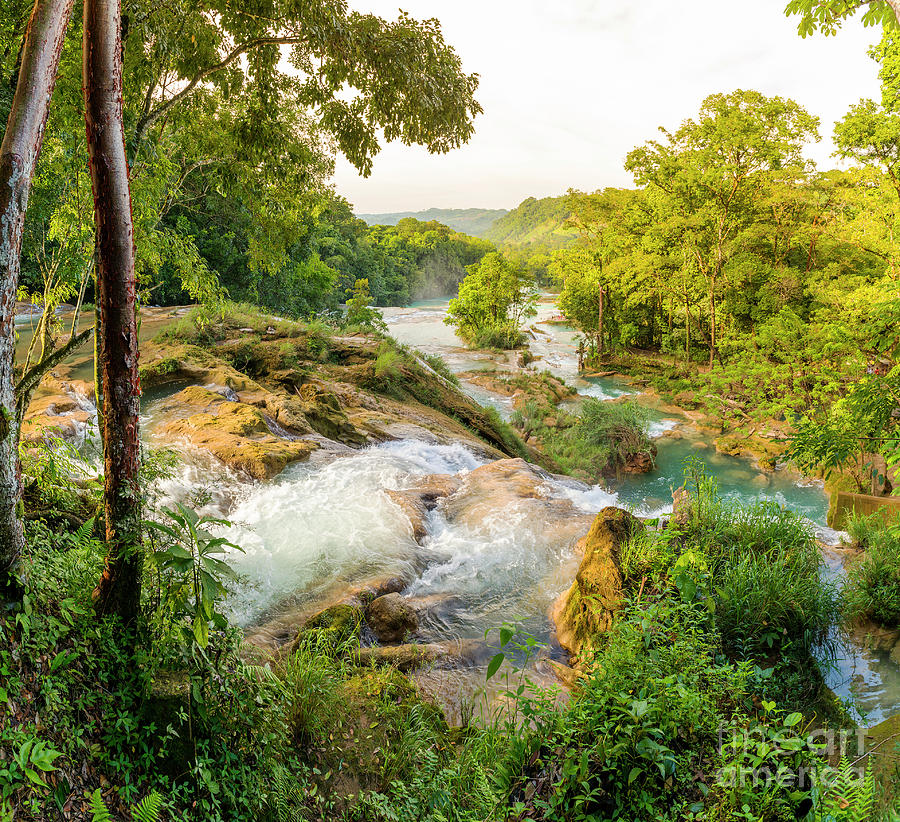 Jungle Photograph - Agua Azul Waterfall Mexico by THP Creative