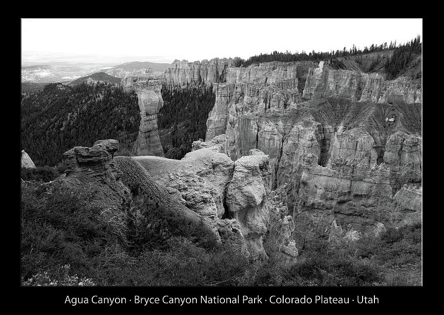 Agua Canyon Bryce Canyon Utah 02 BW Text Black Photograph by Thomas Woolworth