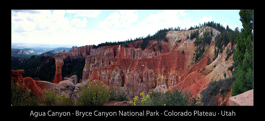 Agua Canyon Bryce Canyon Utah Pan 02 Text Black Photograph by Thomas Woolworth