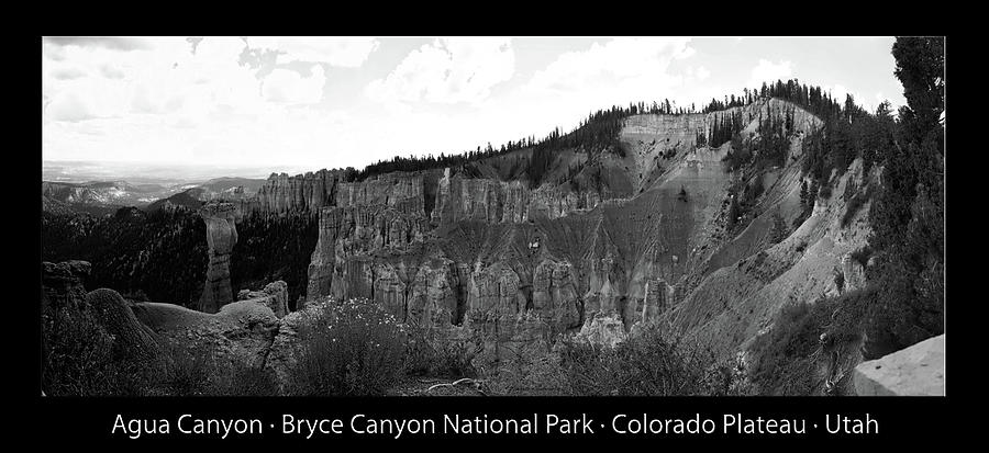 Agua Canyon Bryce Canyon Utah Pan 02 Text BW Black Photograph by Thomas Woolworth