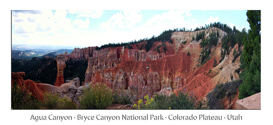 Agua Canyon Bryce Canyon Utah Pan 02 Text Photograph by Thomas Woolworth