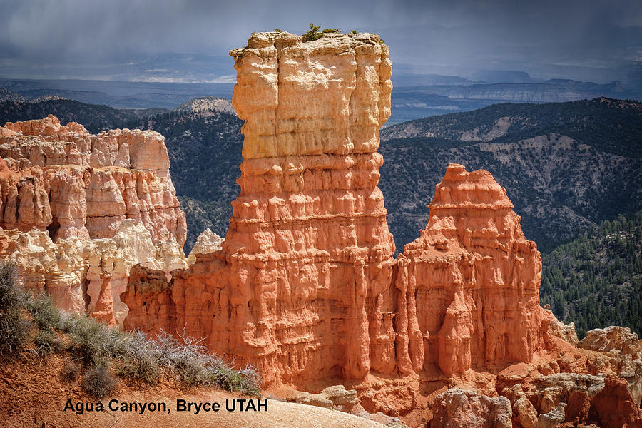 Agua Canyon, Bryce UTAH Photograph by Georgette Grossman