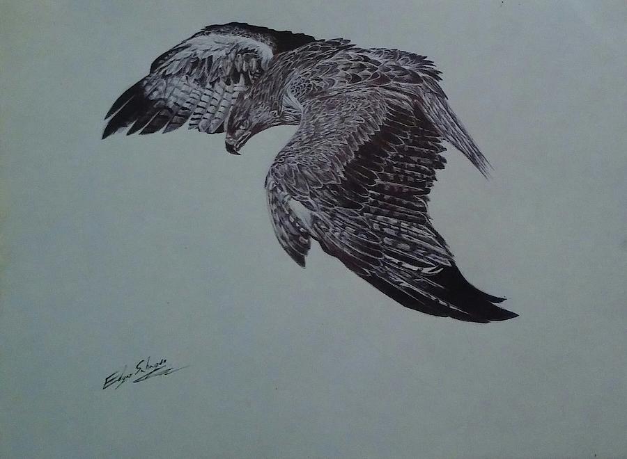 Aguila Drawing by Edgar Sahagun - Fine Art America