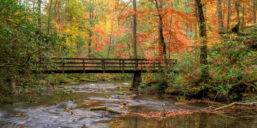 Abrams Creek Photograph - Ah Abrams by Kristina Plaas Abrams Creek Photograph - Ah Abrams by Kristina Plaas