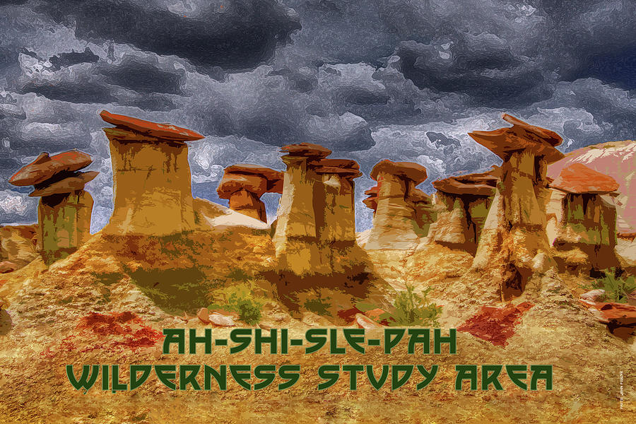 Ah-Shi-Sle-Pah Wilderness Study Area Digital Art by Chuck Mountain