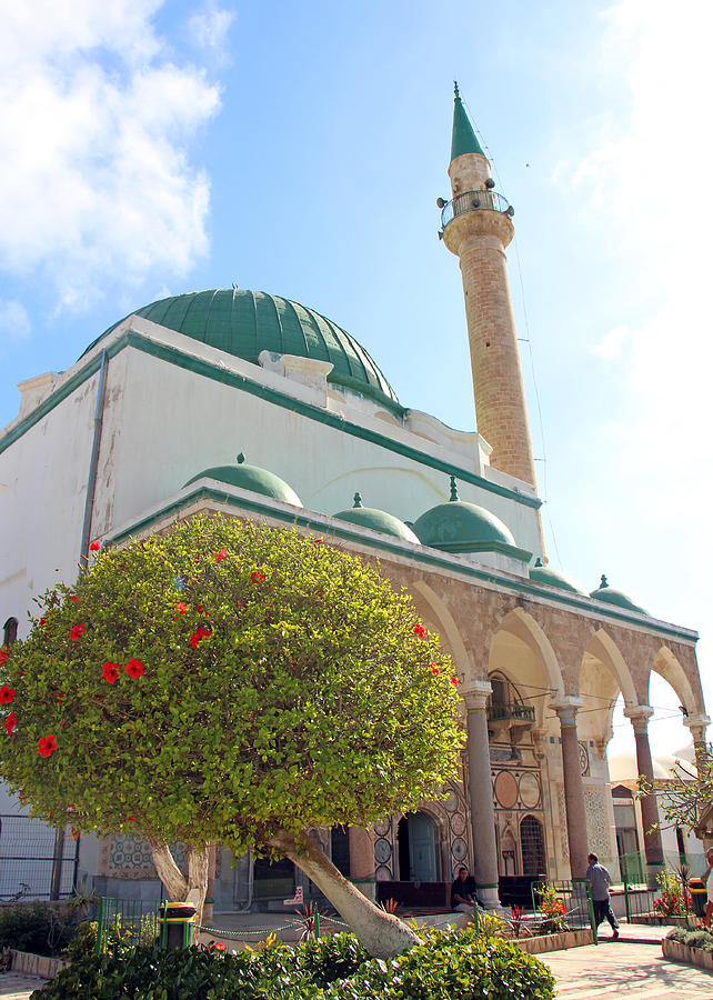 Ahmed El-Jazzar Mosque Photograph by Munir Alawi