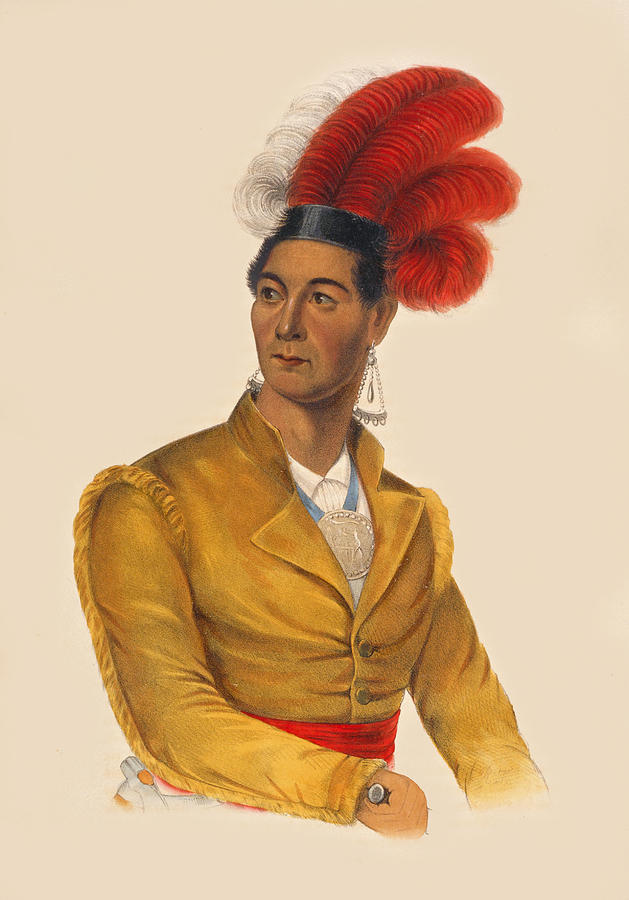 Ahyouwaighs chief of the Six Nations Drawing by Unknown