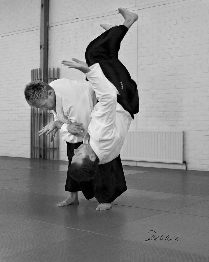Aikido Up and Down Photograph by Frederic A Reinecke