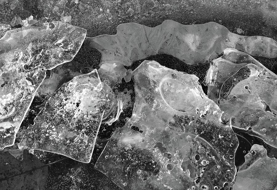 Air Bubbles In The Ice BW  Photograph by Lyle Crump
