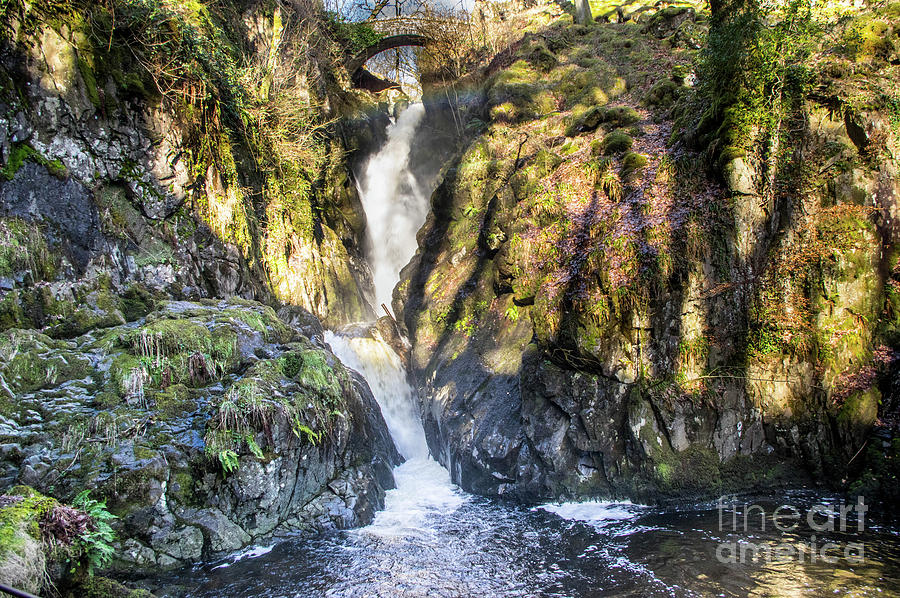 Aira Force Photograph by Chris Horsnell