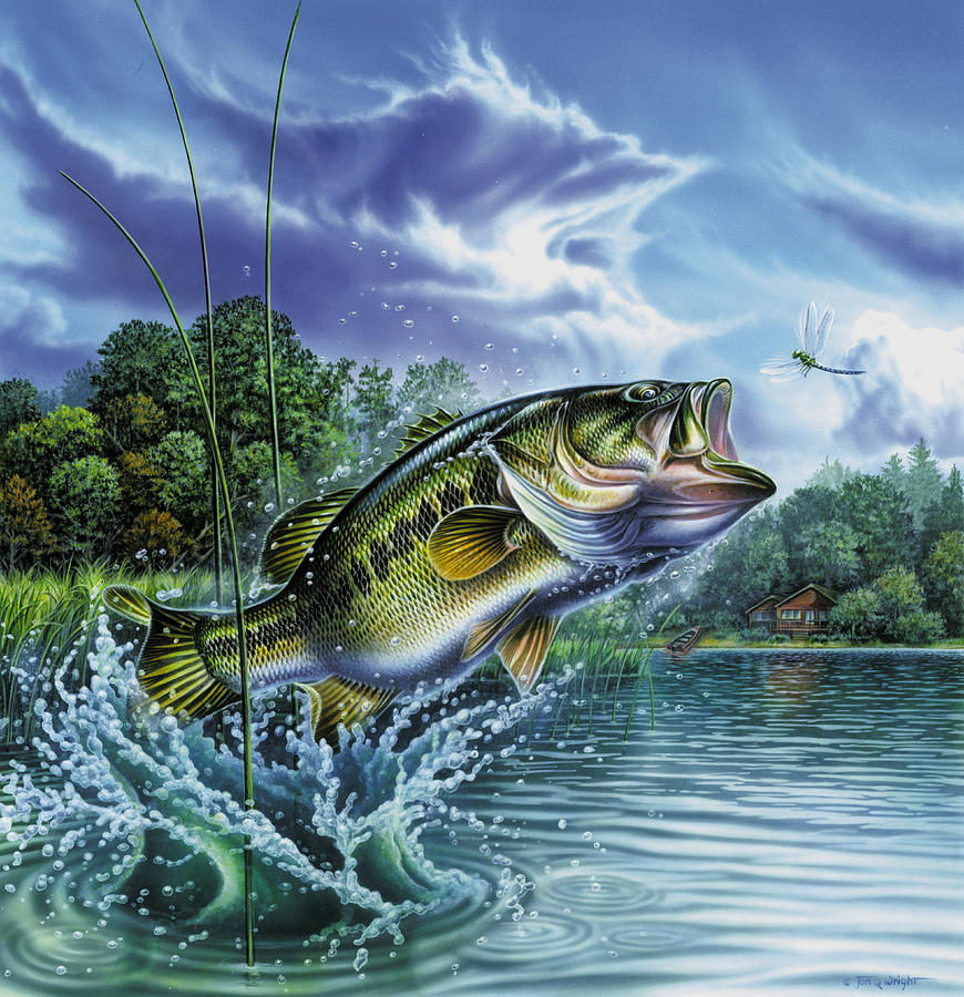 Airborne Bass Painting by JQ Licensing
