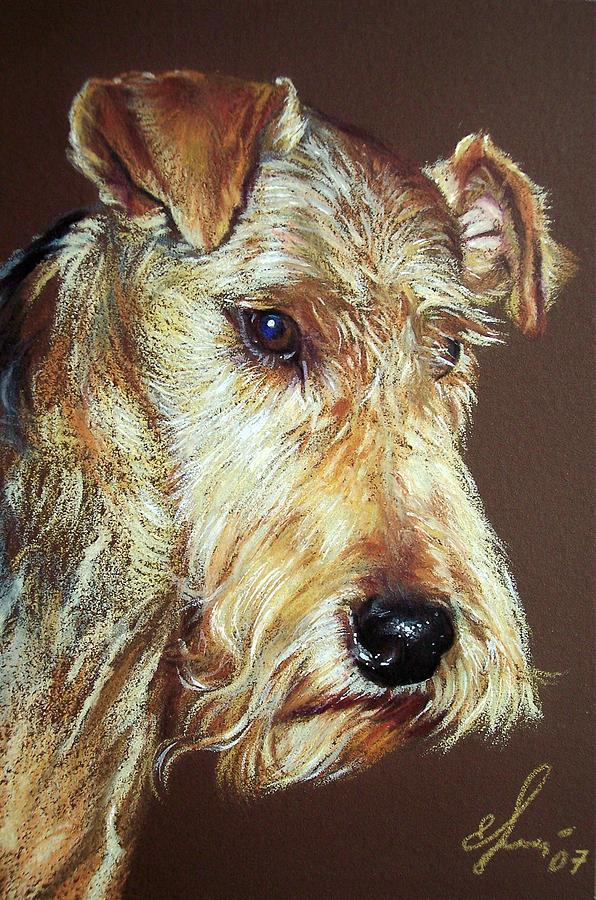 Airdale Terrier Drawing by Elena Kolotusha