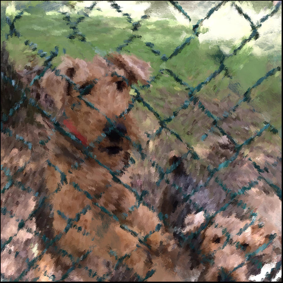 Airedale Puppies Aerial and Jett Digital Art by Janis Kirstein