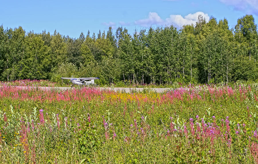 Airplane on flower landing strip in Alaska Photograph by Waterdancer 