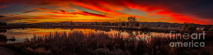 Airport Pond Sunrise Photograph by Robert Bales
