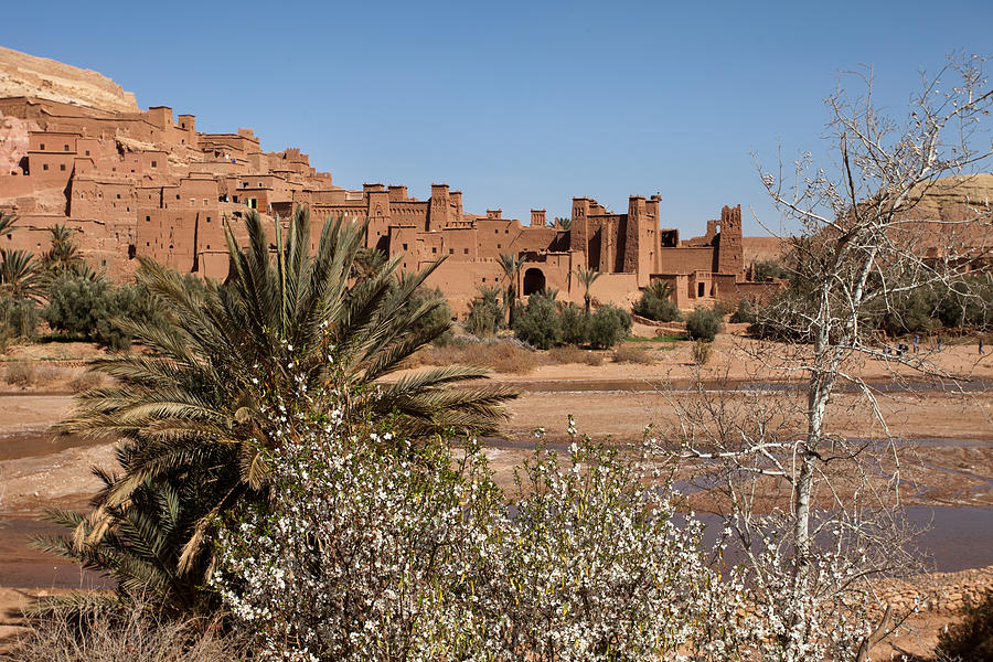 Ait Benhaddou and with Trees Photograph by Aivar Mikko