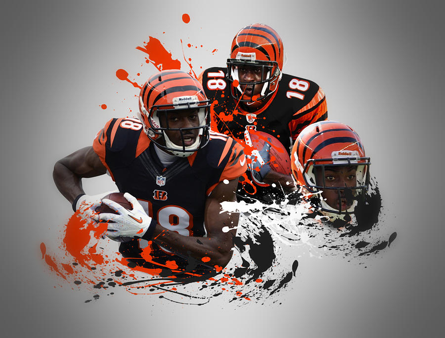 Aj Green Bengals Photograph By Joe Hamilton 