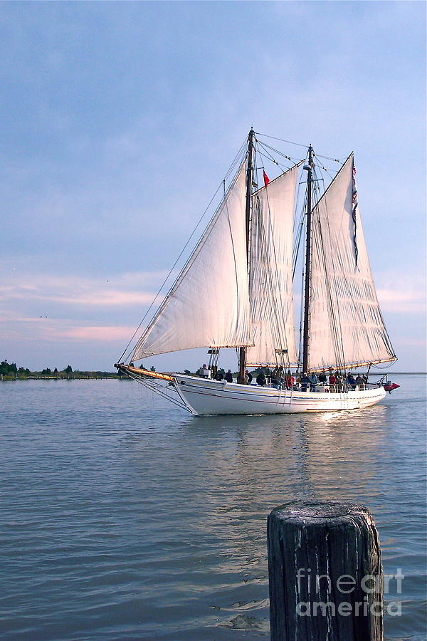 AJ Meerwald Sailing Up River Photograph by Nancy Patterson