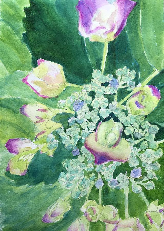 Ajisai Color Green Buds Painting By Cindy Mclean