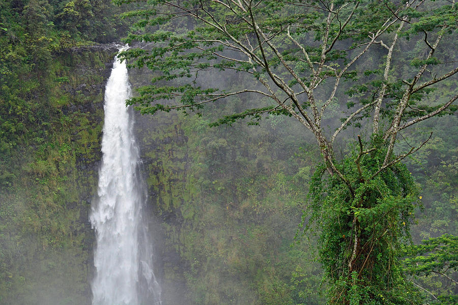 Akaka Falls and Wispy Clouds Photograph by Bruce Gourley