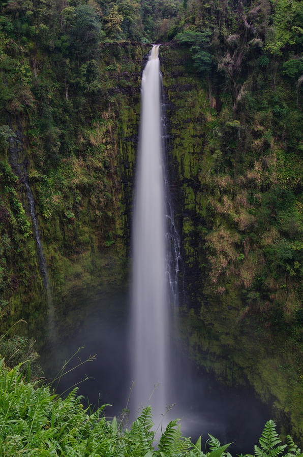 Akaka Falls Photograph by Don Schwartz