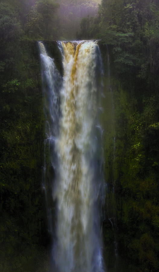 Akaka Falls Photograph by Ellen Heaverlo