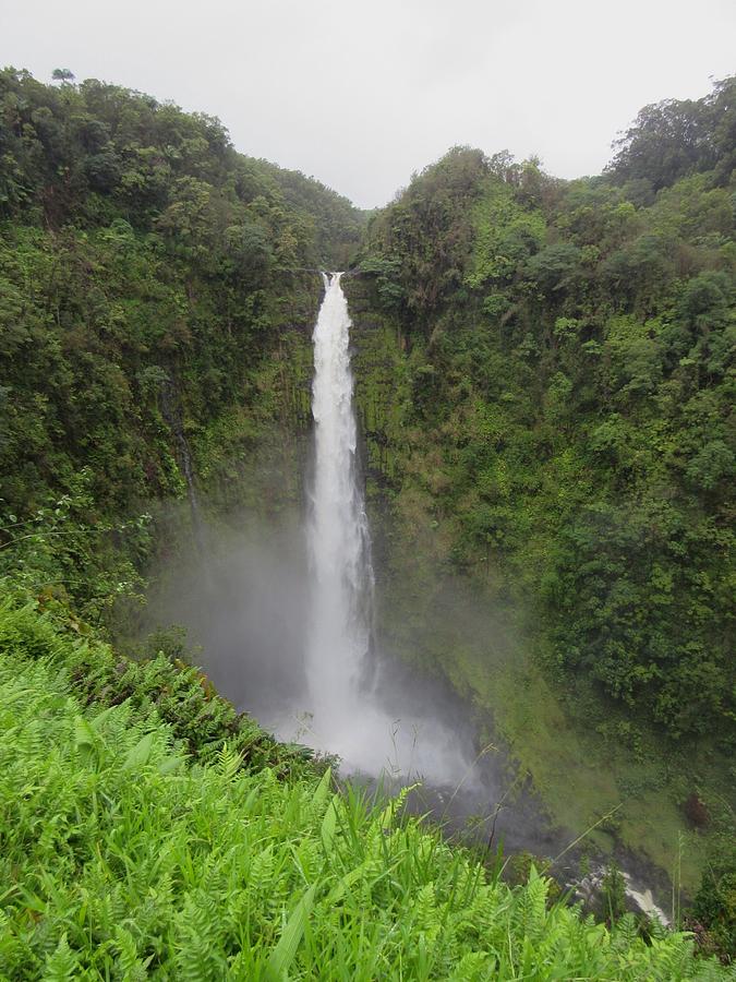 Akaka Falls, Hawaii Photograph by Maria Keady - Fine Art America