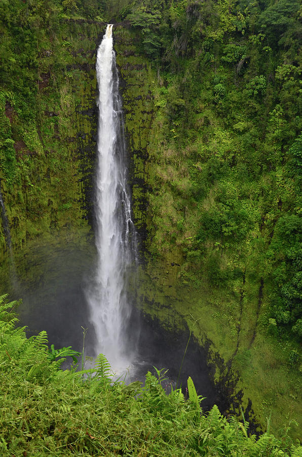 Akaka Falls Photograph by Nicki Toizer