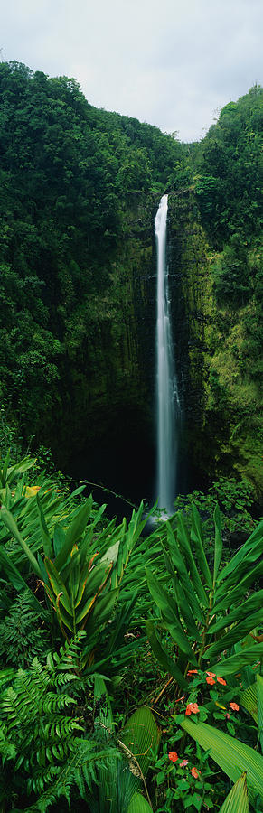Akaka Falls Photograph by Panoramic Images