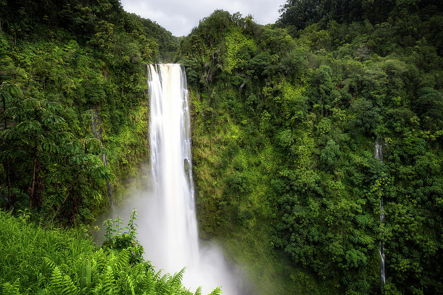 Akaka Falls Photograph by Ryan Manuel