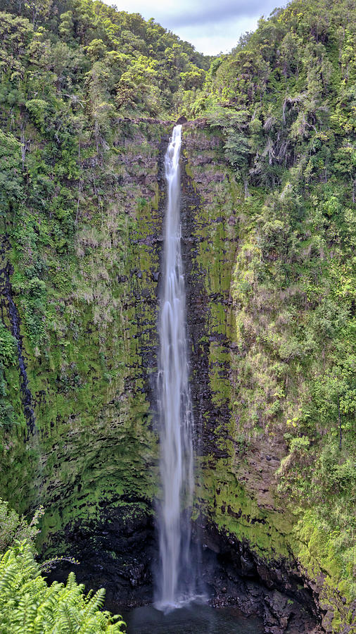 Akaka Falls Photograph by Susan Rissi Tregoning