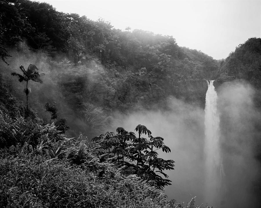 Akaka Falls with Fog and Mist Photograph by Heidi Fickinger