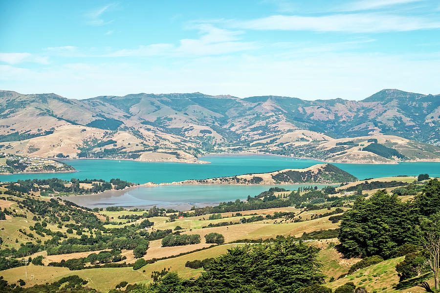 Akaroa Harbour Photograph by Catherine Reading